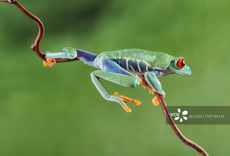 返回原路图片素材