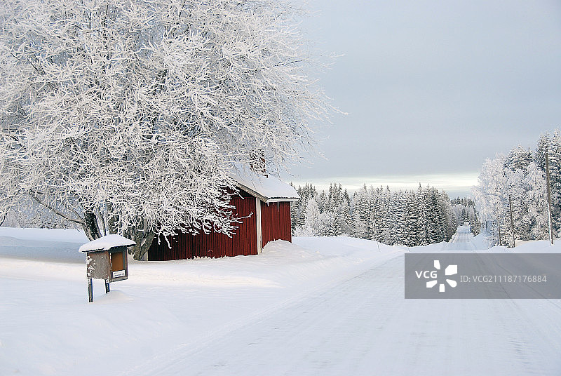 乡间小路图片素材