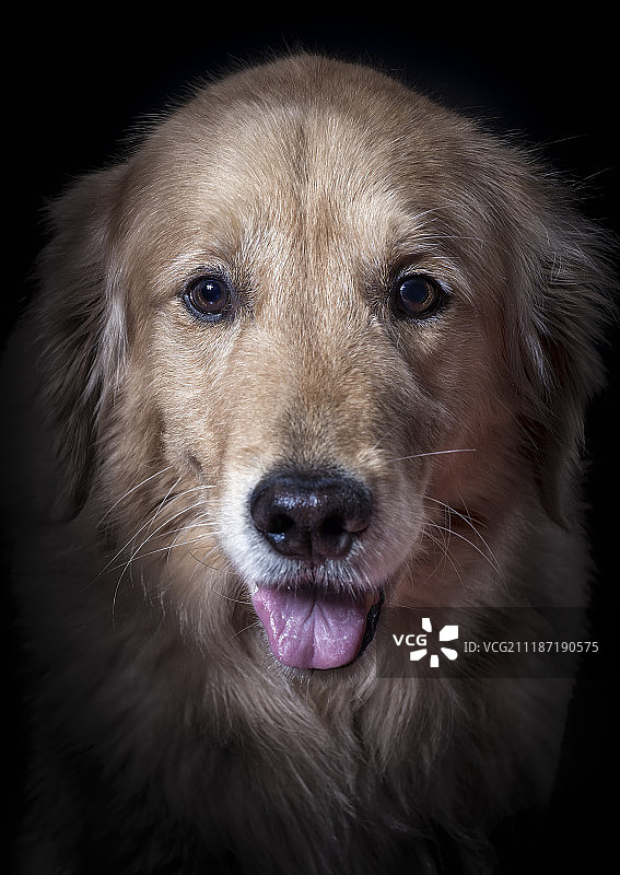 我有多爱你图片素材