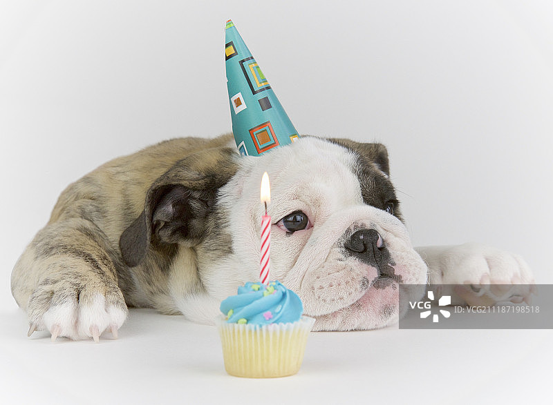 生日男孩图片素材