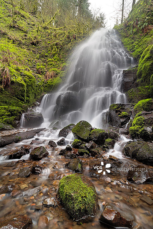 哥伦比亚河峡谷春季的仙女瀑布图片素材