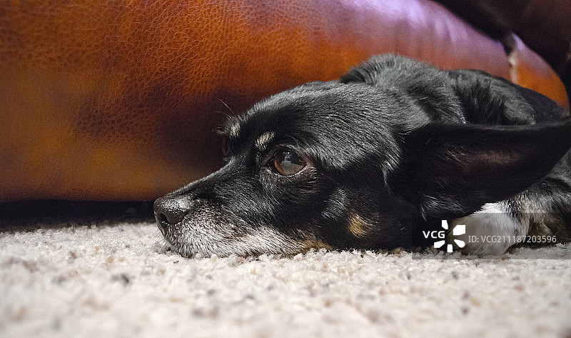 深度思考图片素材