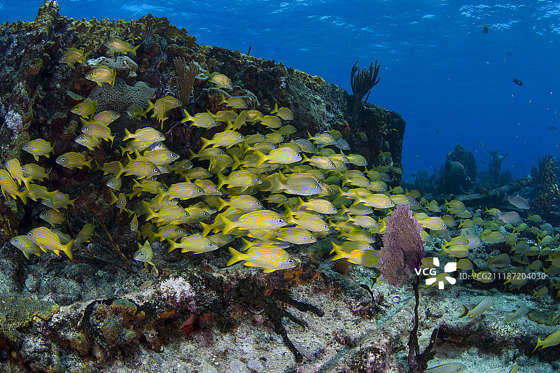 西区糖厂遗址学校图片素材