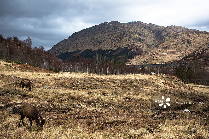 格伦芬南高架桥前图片素材