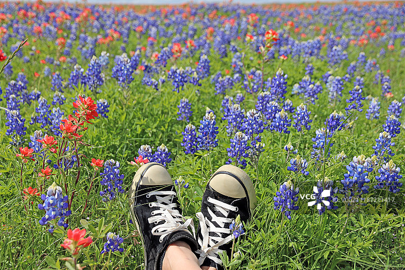 春天来了！图片素材