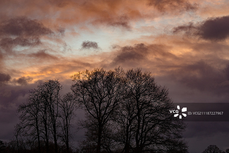 树木日落美景图片素材