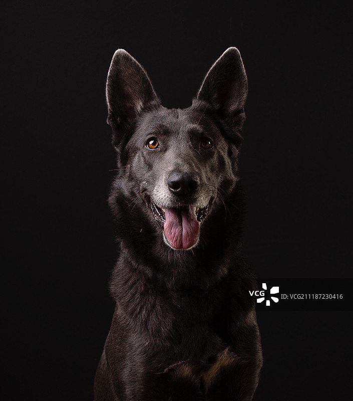 因果报应图片素材