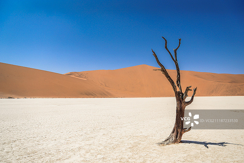 纳米比亚死亡谷图片素材