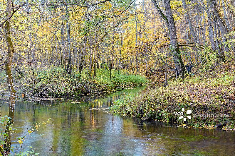 春季水景图片素材