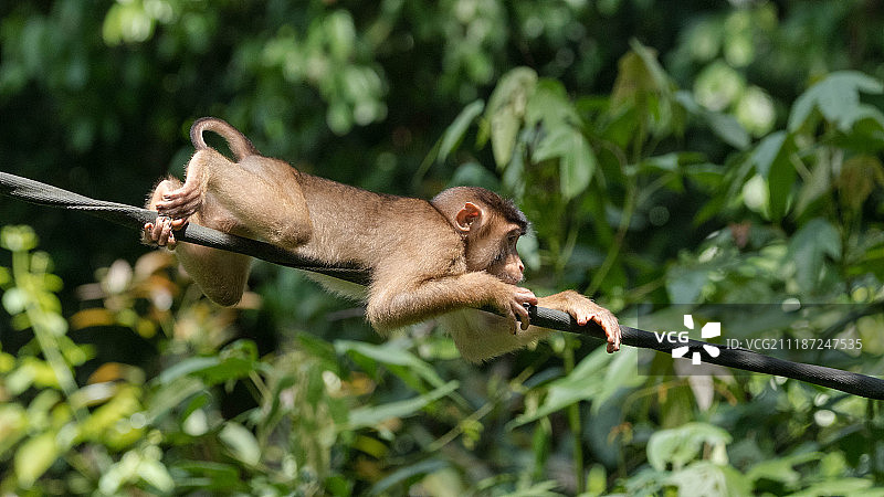 碟中谍图片素材