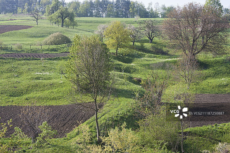 吉恩达图片素材