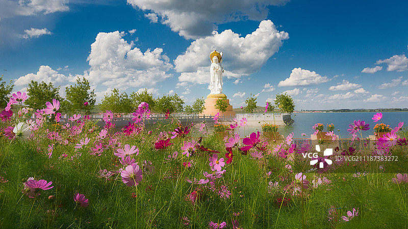 河北沽源天鹅湖图片素材