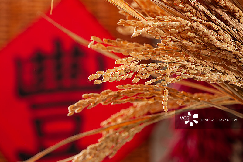 农作物丰收图片素材