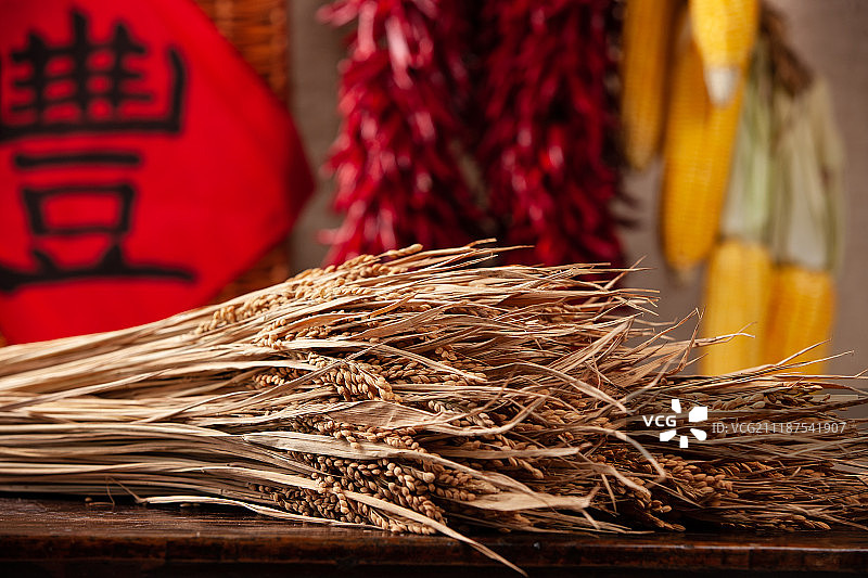 农作物丰收图片素材