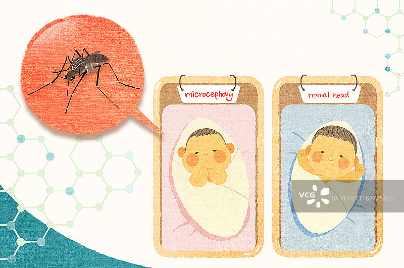 病毒、寨卡病毒、蚊子图片素材