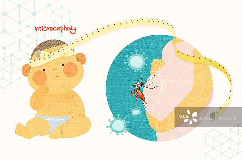 病毒、寨卡病毒、蚊子图片素材
