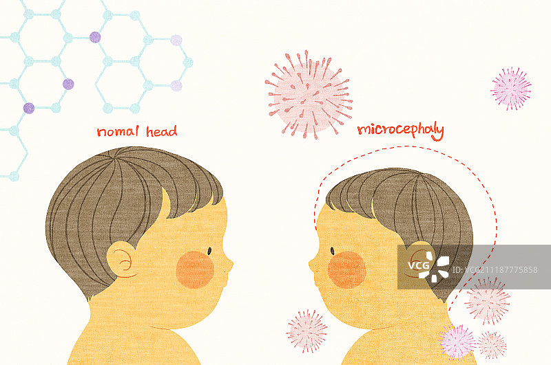 病毒、寨卡病毒、蚊子图片素材