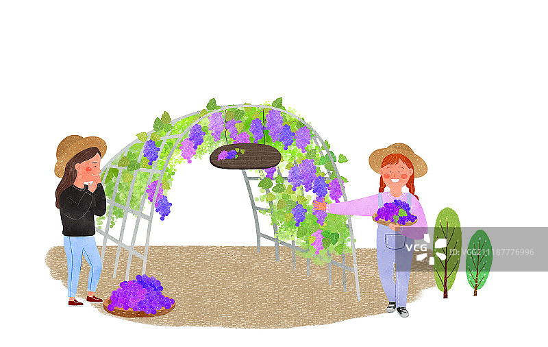 农舍产品生活方式插画图片素材