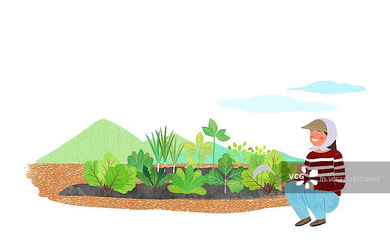 农舍产品生活方式插画图片素材