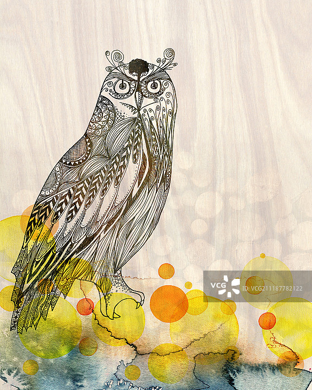 动物背景图片素材