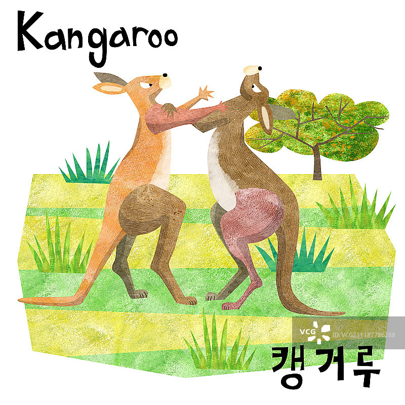 动物插画图片素材