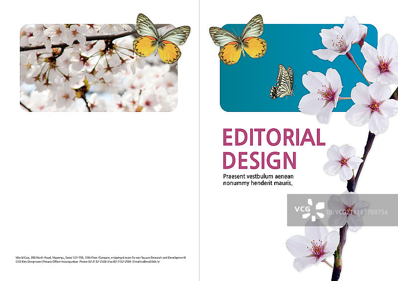 书的封面设计图片素材