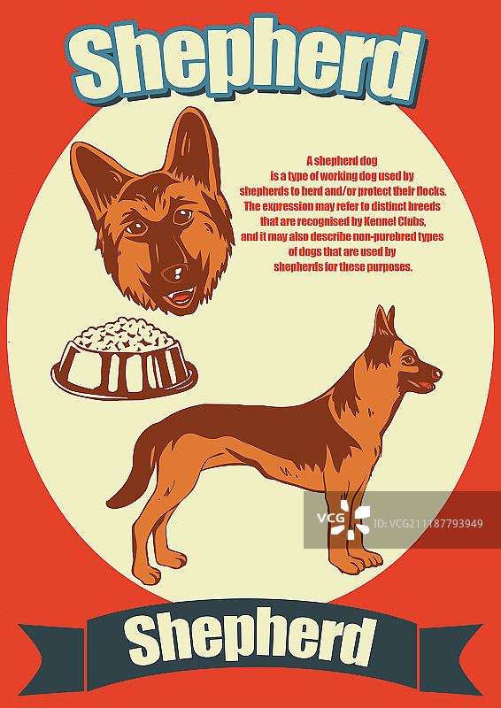 小狗复古插画图片素材