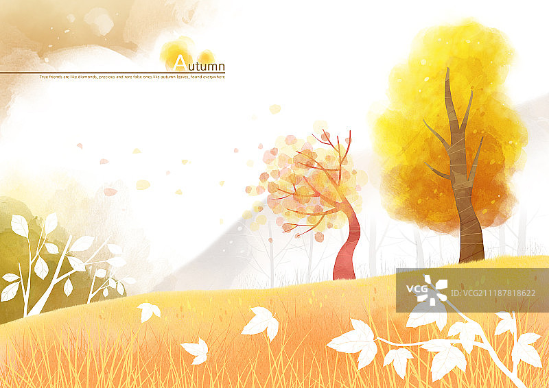 时令插画图片素材