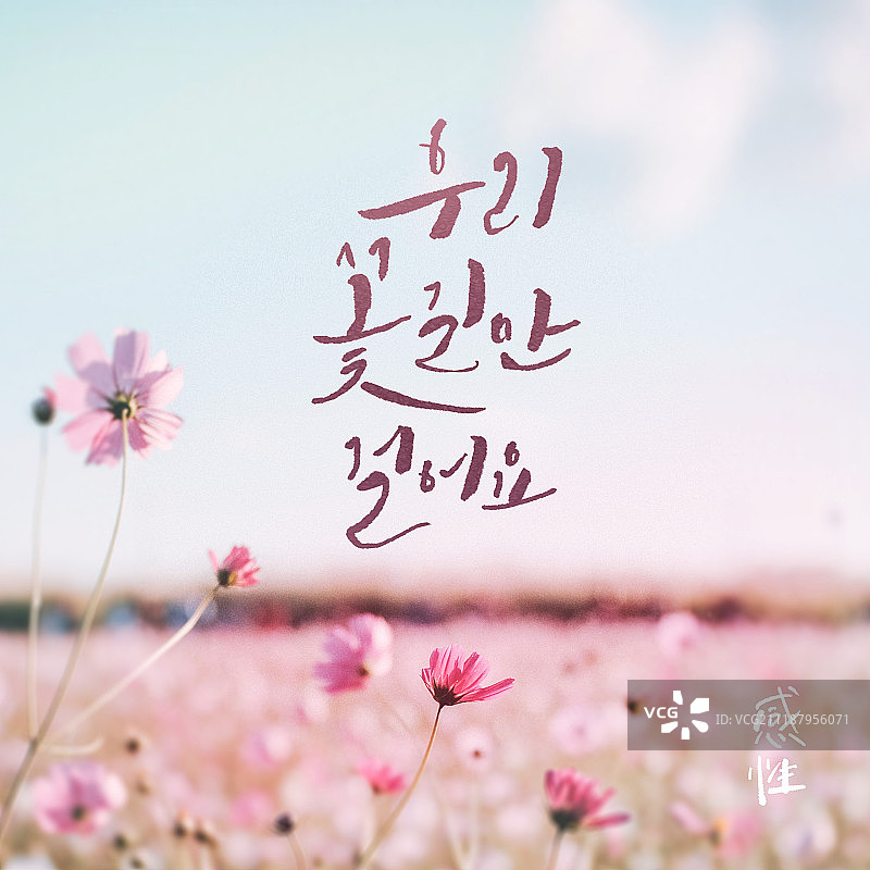 秋季书法、手写体、宇宙、花路图片素材