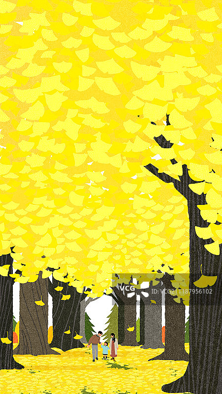 秋季银杏概念风景图片素材