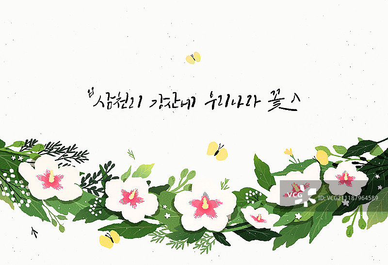 周年纪念，鲜花，木槿花，三一独立运动（世界历史事件），书法（文本）图片素材