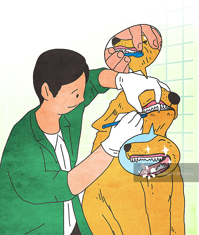 宠物动物牙齿刷牙狗图片素材