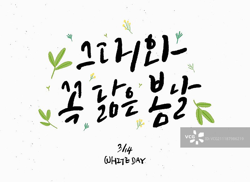 书法（文字），手写，春天，庆典活动，花朵，白色情人节图片素材