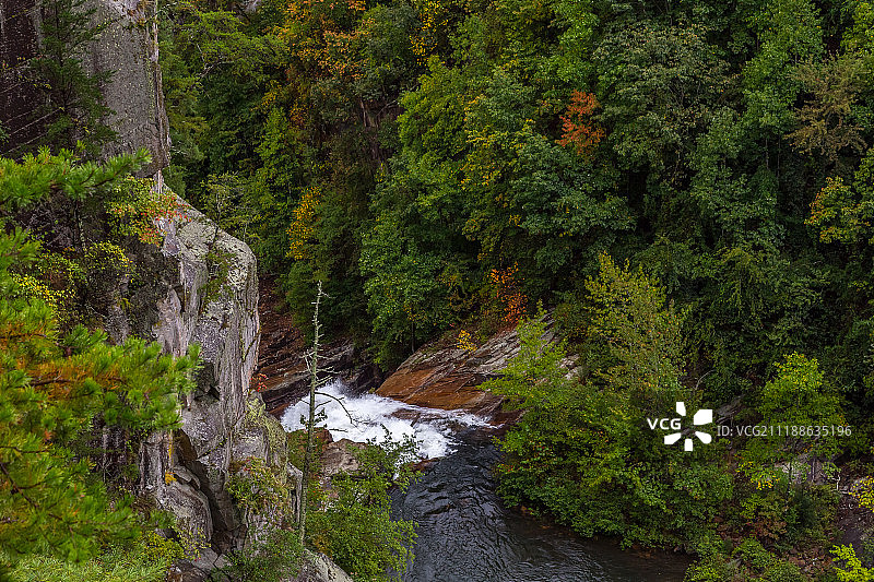 森林中的瀑布图片素材