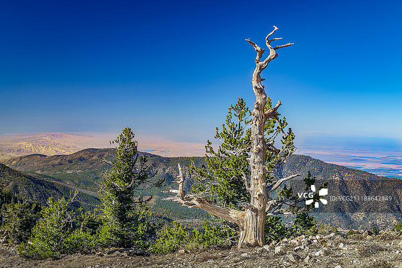 皮诺斯山顶峰图片素材
