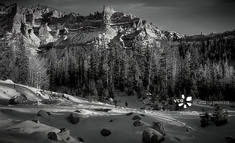 雪松打破国家纪念碑图片素材