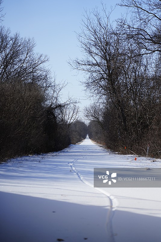 白脱牛奶溪公园图片素材