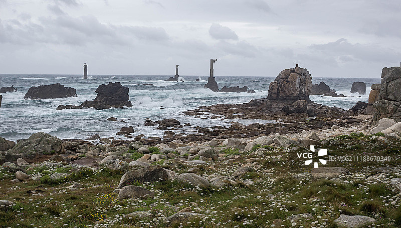 野生海洋。图片素材