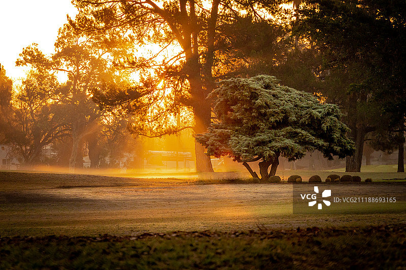 清晨的阳光阵雨图片素材