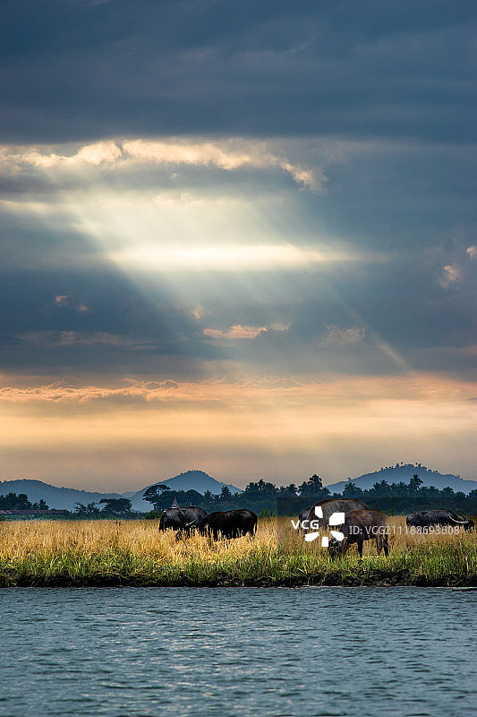 缅甸若开邦实兑加拉丹河风光图片素材