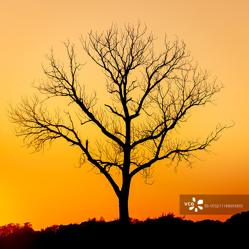 日落轮廓图片素材