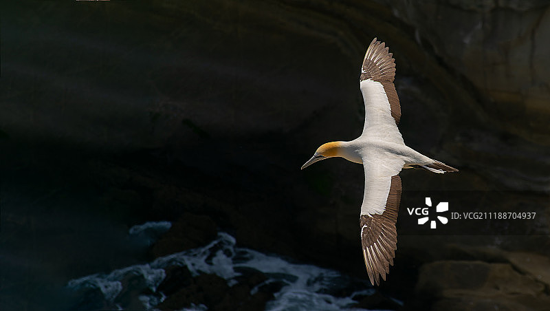 在飞行中图片素材
