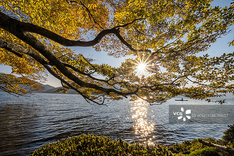 秋季湖边日出场景图片素材