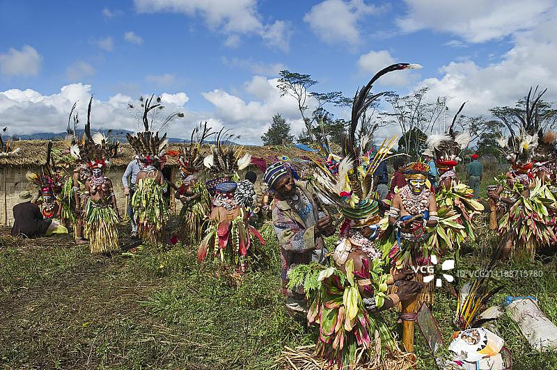 来自西高地坦布尔地区的埃加瓦文化团体，准备参加哈根山表演，辛辛，巴布亚新几内亚，大洋洲图片素材