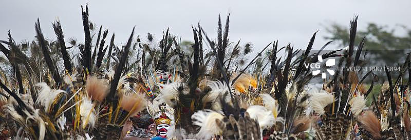 在巴布亚新几内亚西高地哈根山展览上，戴着镰嘴鹬羽毛的西部高地人图片素材