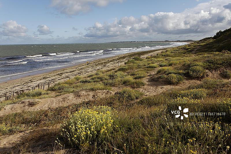 奥莱龙岛海岸风光，法国图片素材