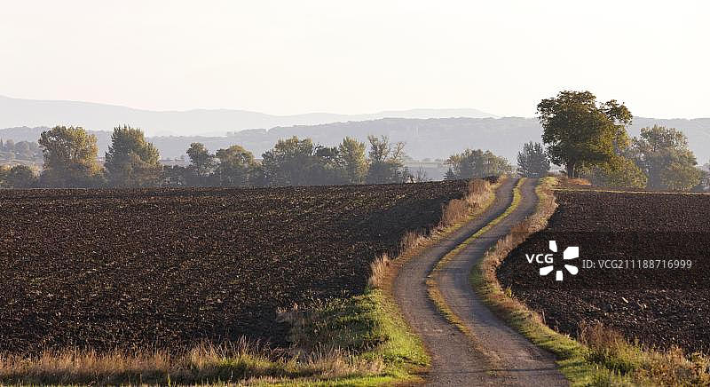 利马涅平原的泥路，多姆山，法国，欧洲图片素材