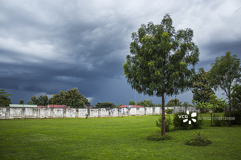 树木、草坪和墙壁风景图片素材