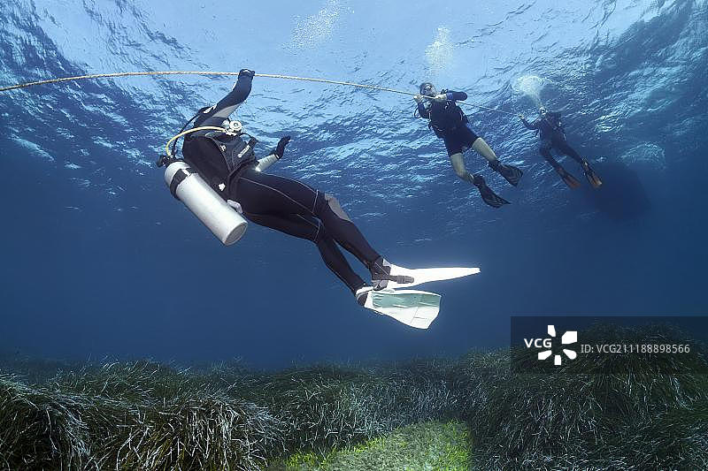 潜水员在地中海塞浦路斯南部海域海王星草附近潜水图片素材