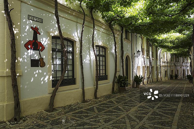 赫雷斯德拉弗龙特拉冈萨雷斯·比亚斯酒庄的Calle Ciegos图片素材